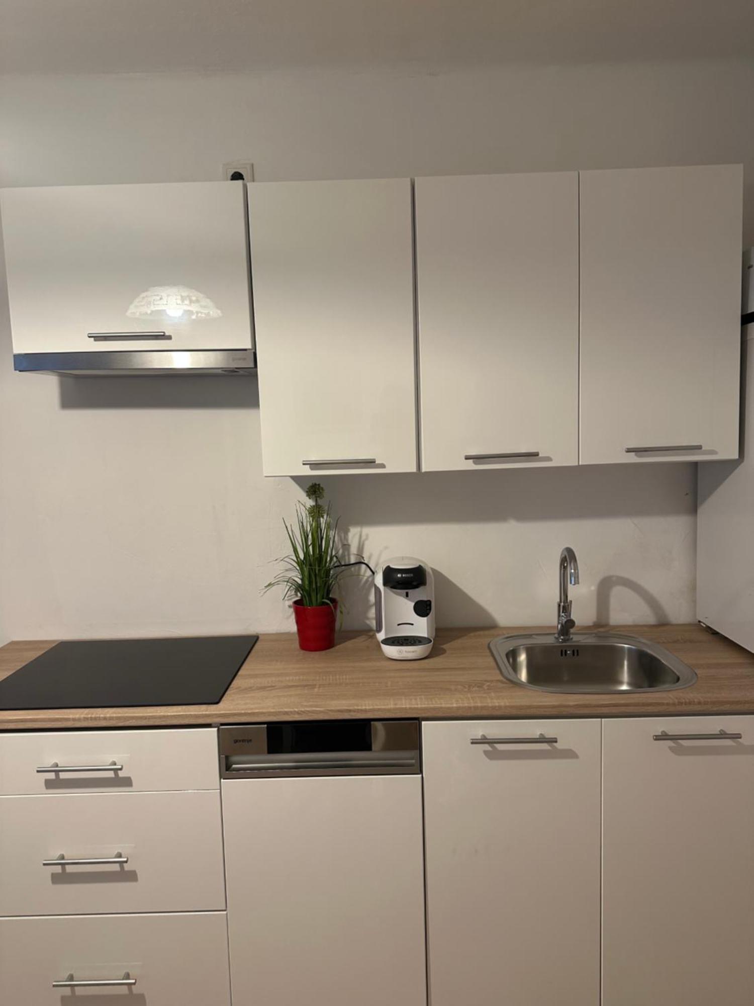Cheap Outlet Center Apartment With Pool パルンドルフ エクステリア 写真