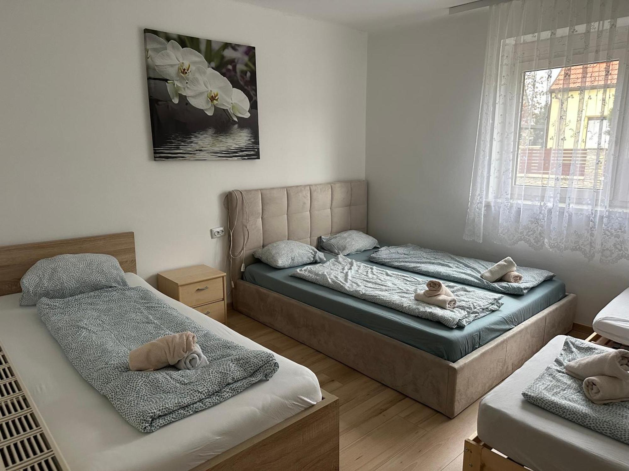 Cheap Outlet Center Apartment With Pool パルンドルフ エクステリア 写真