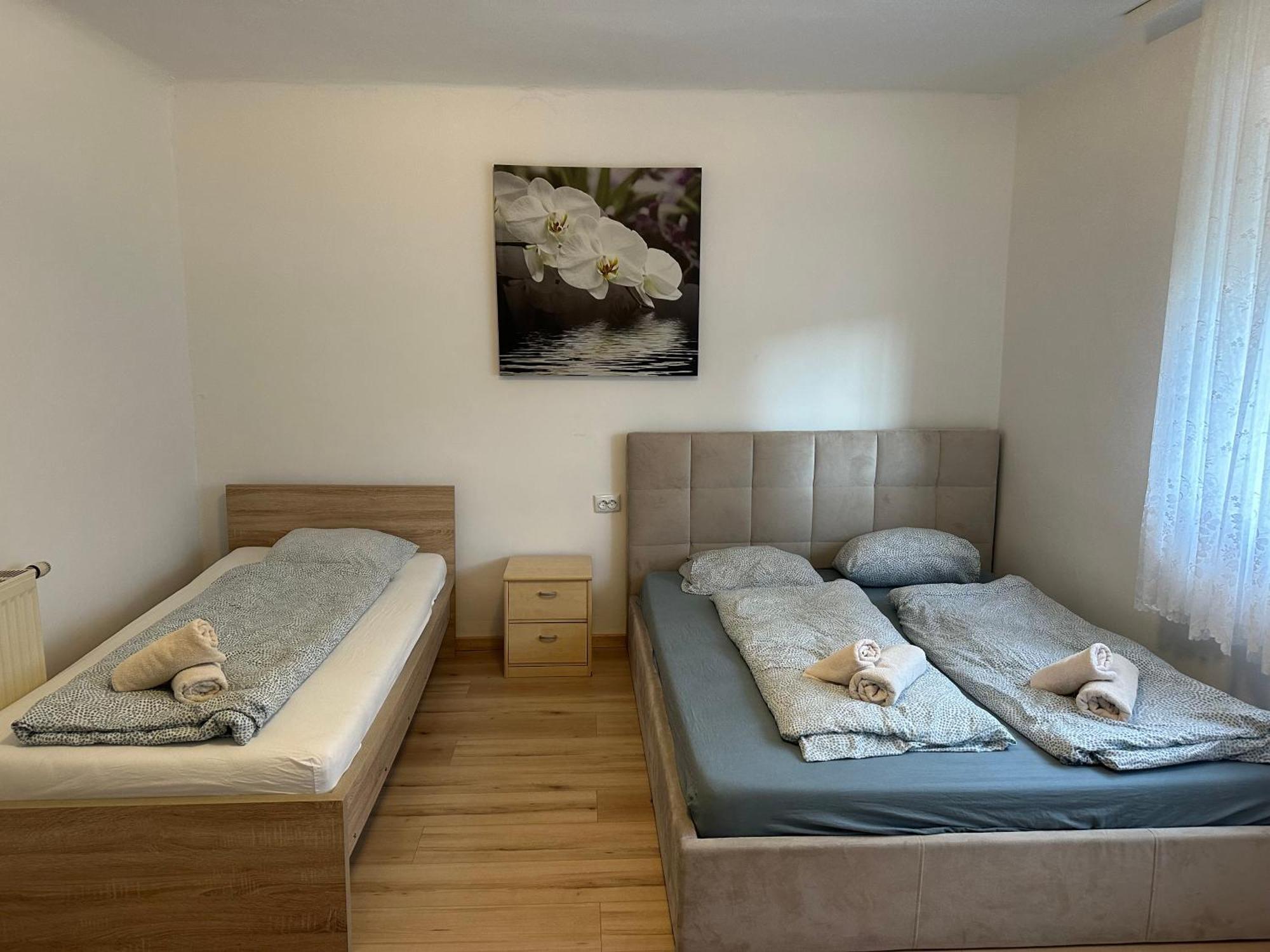 Cheap Outlet Center Apartment With Pool パルンドルフ エクステリア 写真